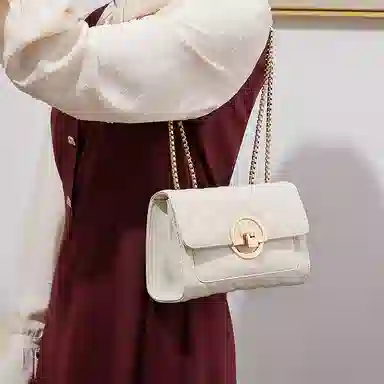 红蜻蜓 经典复古潮流时尚小众简约高级感通勤百搭菱格大容量 牛皮真皮 链条小方包斜挎单肩包 常规 女款 黑色/白色