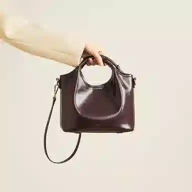 红蜻蜓 小众含内袋潮新时尚高级感单肩斜挎包 牛皮 手提包 女款 咖啡色