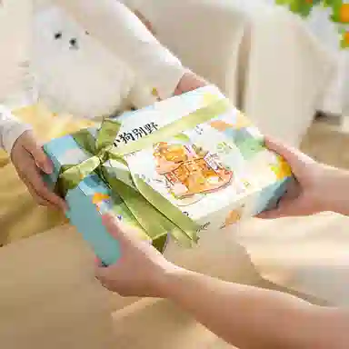 Rolife x 230pcs DG169