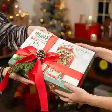 Rolife 206289pcs TGC06TGC07