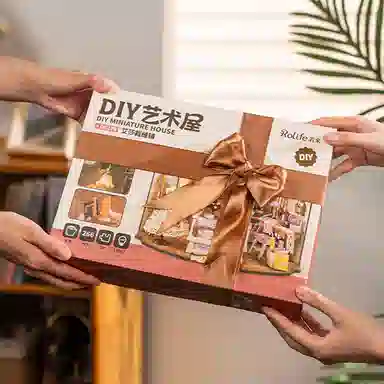 Rolife diy 266pcs DG178