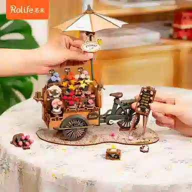 Rolife diy 187pcs TGS03