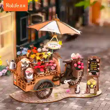 Rolife diy 187pcs TGS03