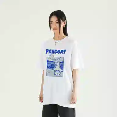 Pancoat T