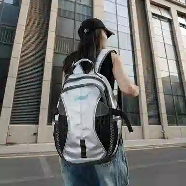 CAREELL Silver Backpack