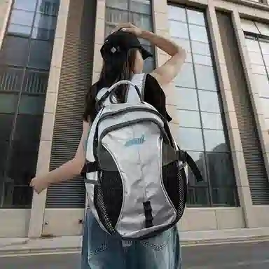 CAREELL Silver Backpack