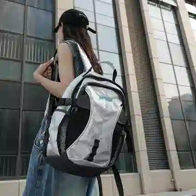 CAREELL Silver Backpack