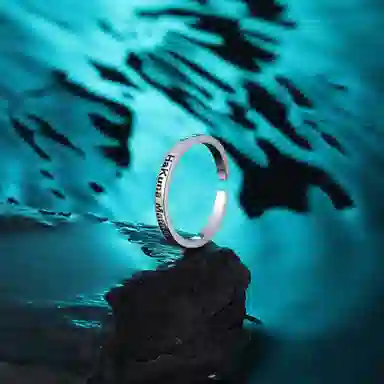 MISS XIA JWY HakunaMatata