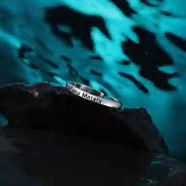 MISS XIA JWY HakunaMatata