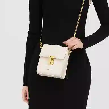 辛瓦伊·克洛斯 秋冬百搭通勤高级感轻便 牛皮 单肩包链条斜挎包手机包 常规 女款 黑色拼米白