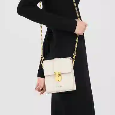 辛瓦伊·克洛斯 秋冬百搭通勤高级感轻便 牛皮 单肩包链条斜挎包手机包 常规 女款 黑色拼米白