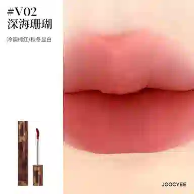 酵色 琥珀唇釉双支八色眼影套装 哑光 棕色化妆包