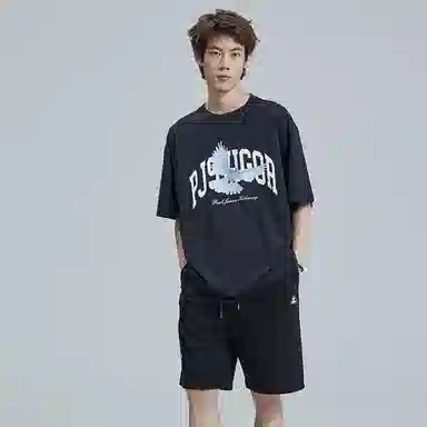 PJ's Vigor T 2