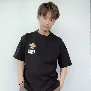 PJ's Vigor T 2