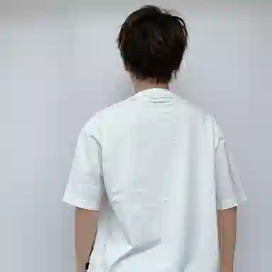 PJ's Vigor T 2