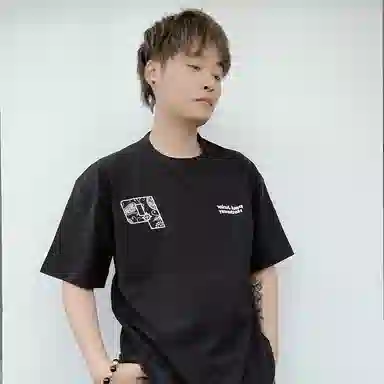 PJ's Vigor T 2