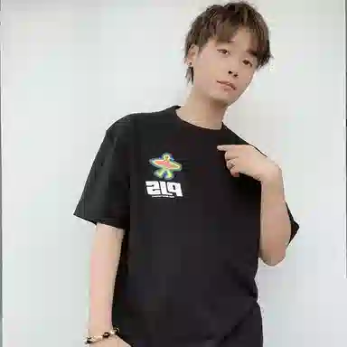 PJ's Vigor T 2