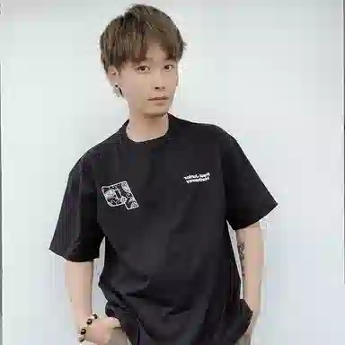 PJ's Vigor T 2