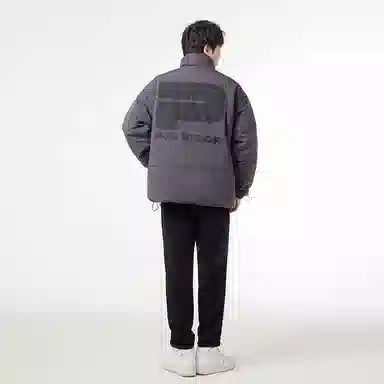 PJ's Vigor Logo
