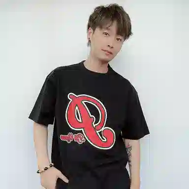 PJ's Vigor T 2
