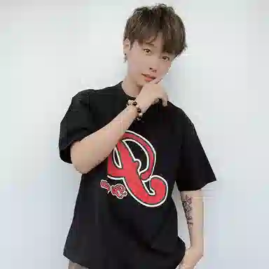 PJ's Vigor T 2