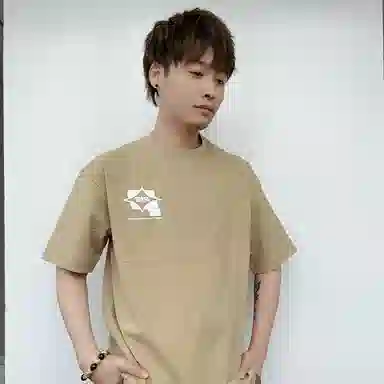 PJ's Vigor T 2