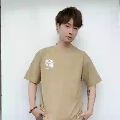 PJ's Vigor T 2