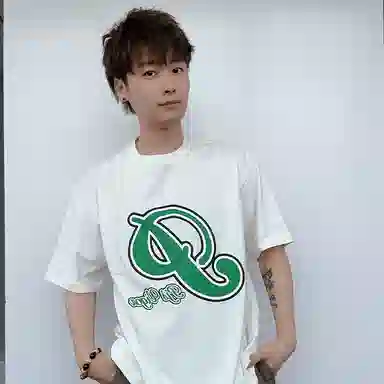 PJ's Vigor T 2