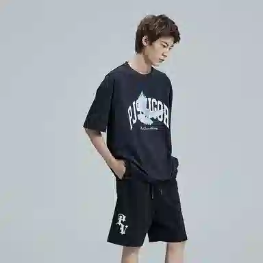 PJ's Vigor T 2