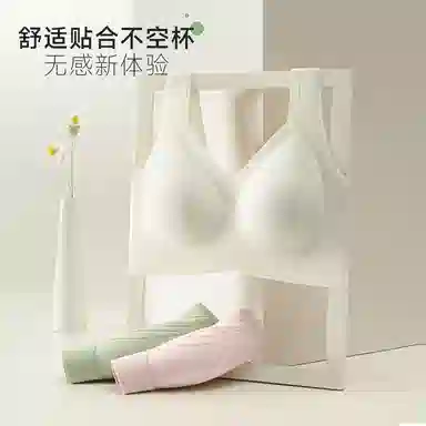 二三二三 小胸聚拢显大防走光软支撑无钢圈收副乳防下垂提拉无痕文胸 女款