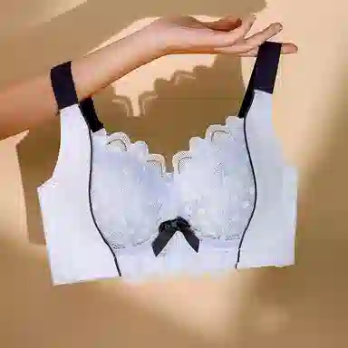 二三二三 小胸平胸不空杯中厚无钢圈聚拢专用纯欲性感舒适透气上托收副乳无痕防下垂调整型美背文胸 女款 组合装