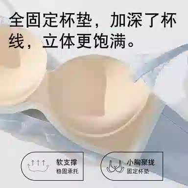 二三二三 日系甜美蕾丝网纱花边内衣亲肤柔软透气舒适防下垂不闷汗收副乳高级感胸罩纯欲性感时尚百搭无钢圈可调节肩带文胸  女款