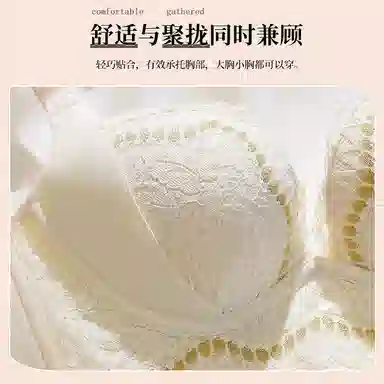 二三二三 美背吸汗清爽排湿可调节抗菌柔软亲肤纯色百搭聚拢舒适文胸 女款