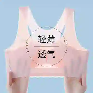 二三二三 美背速干吸汗清爽排湿百搭少女文胸抗菌内衬速干面料柔软亲肤舒适内衣 女款