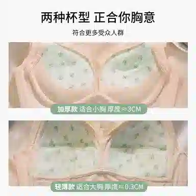 二三二三 聚拢无钢圈收副乳性感调整型蕾丝上托下垂无痕全罩杯抗菌透气文胸 女款 礼盒装