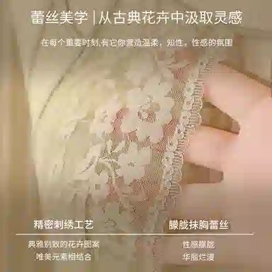 二三二三 性感镂空蕾丝网纱内衣轻薄舒适聚拢显瘦防下垂收副乳呼吸感胸罩时尚百搭日常无钢圈可调节肩带文胸 女款