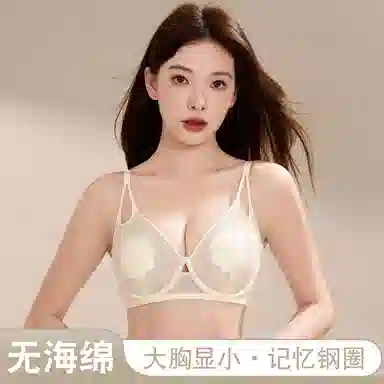 二三二三 大胸显小轻薄透气聚拢提拉上托不空杯亲肤舒适侧收副乳无钢圈软支撑简约时尚百搭性感纯欲文胸 女款