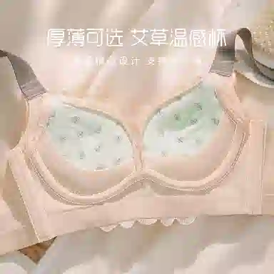 二三二三 聚拢无钢圈收副乳性感调整型蕾丝上托下垂无痕全罩杯抗菌透气文胸 女款 礼盒装
