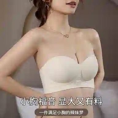 二三二三 无痕抹胸聚拢裹胸防滑拢收副乳防下垂无钢圈纯色舒适文胸 女款 礼盒装