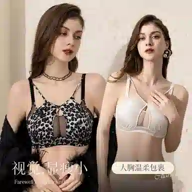 二三二三 透气吸汗聚拢有型防下垂亲肤柔软抑菌舒适侧收副乳纯欲豹纹性感网纱时尚百搭潮流文胸 女款