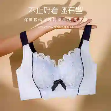 二三二三 聚拢无钢圈收副乳性感调整型蕾丝上托下垂无痕全罩杯抗菌透气文胸 女款 礼盒装