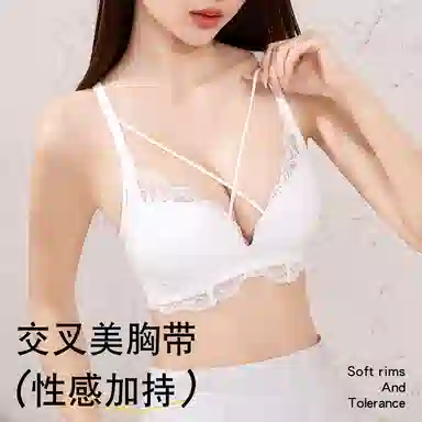 二三二三 透气吸汗聚拢防下垂胸罩亲肤柔软舒适侧收副乳内衣文胸 女款