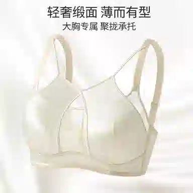 二三二三 轻奢性感镂空网纱纯欲豹纹内衣亲肤舒适透气不闷汗氛围感胸罩柔软清凉聚拢防下垂美背潮流时尚百搭日常无钢圈文胸 女款