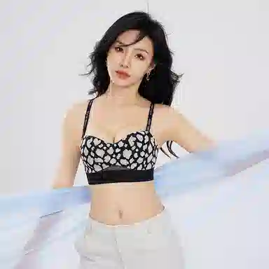 二三二三 透气吸汗聚拢有型防下垂无痕亲肤柔软抑菌舒适侧收副乳可拆卸调节肩带优雅知性豹纹性感时尚百搭文胸 女款