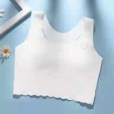 二三二三 美背速干吸汗清爽排湿抗菌柔软亲肤舒适纯色百搭文胸 女款