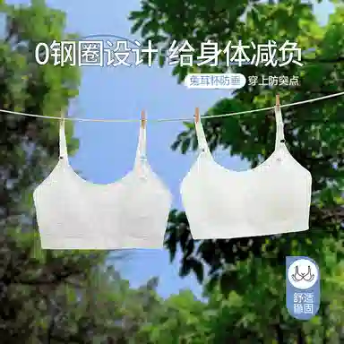 二三二三 运动聚拢有型防下垂亲肤柔软无痕侧收副乳抗菌松弛感美背简约日常无钢圈可调节肩带文胸 女款