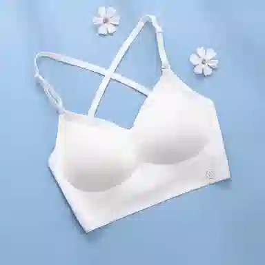 bra