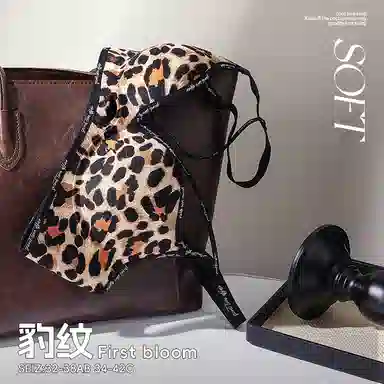 二三二三 透气吸汗聚拢有型防下垂胸罩亲肤柔软抑菌舒适侧收副乳内衣性感豹纹字母纯欲美背时尚百搭日常通勤运动文胸 女款