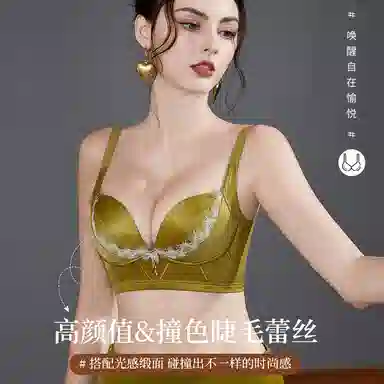 二三二三 聚拢提拉上托舒适侧收副乳软支撑法式蕾丝蝴蝶结文胸 女款