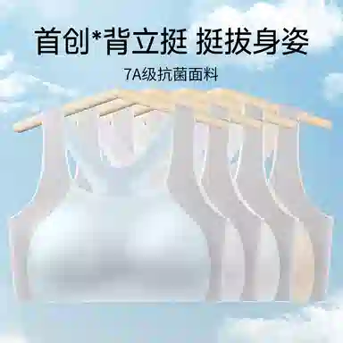 二三二三 透气吸汗防下垂胸罩亲肤柔软抑菌舒适侧收副乳内衣撞色简约时尚百搭日常通勤文胸 女款